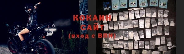 шишки Нягань