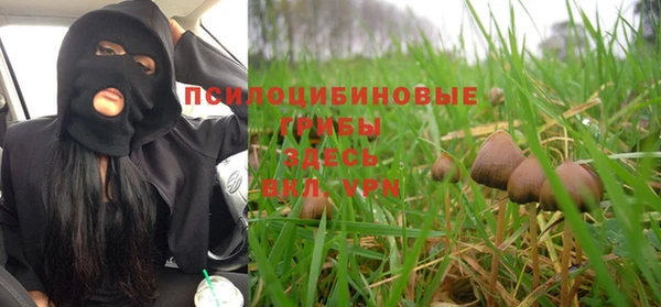 шишки Нягань