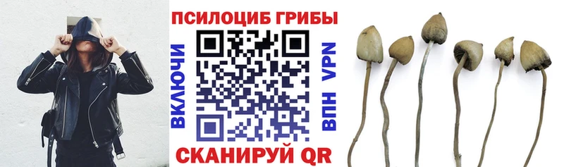 Псилоцибиновые грибы MAGIC MUSHROOMS наркотики Сосновка